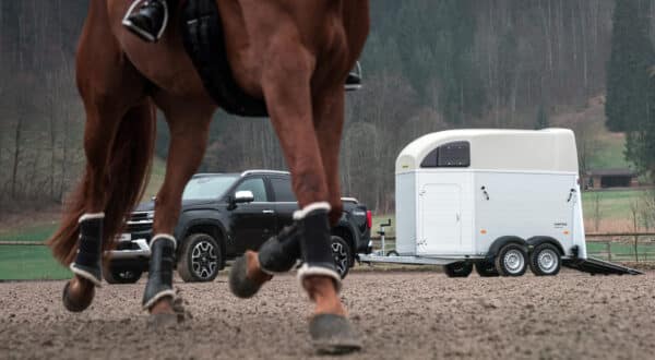 Pferdeanhänger Humbaur Xanthos 2400 kg mit Aluminium Seitenwänden, Aluboden• – Bild 8