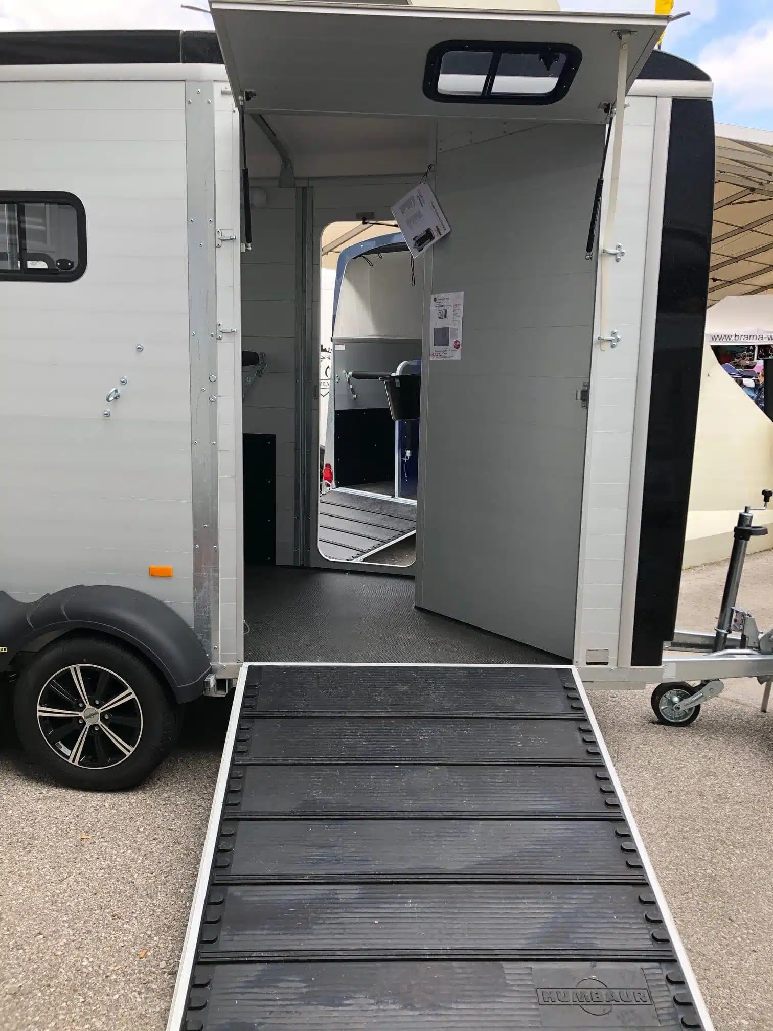 Notos Xtra Pro 2700 kg, Pferdeanhänger, Pferdetransporter, von bis zu 2 Pferden, Check Trailers• – Bild 5