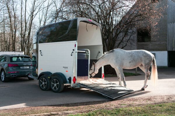 Humbaur Pegasus 2400 XXL Schick und komfortabel mit hochwertigem Poly Alu Aufbau•